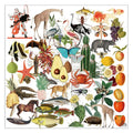50PCS vintage natural history vellum scrapbook stickers