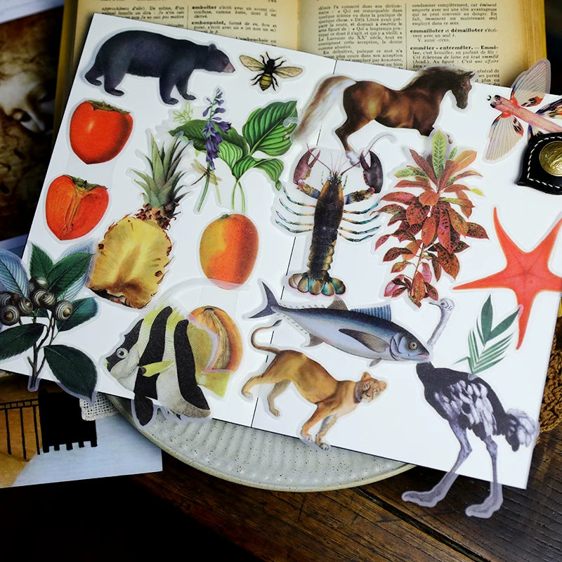 Natural history encyclopedia self adhesive vellum stickers