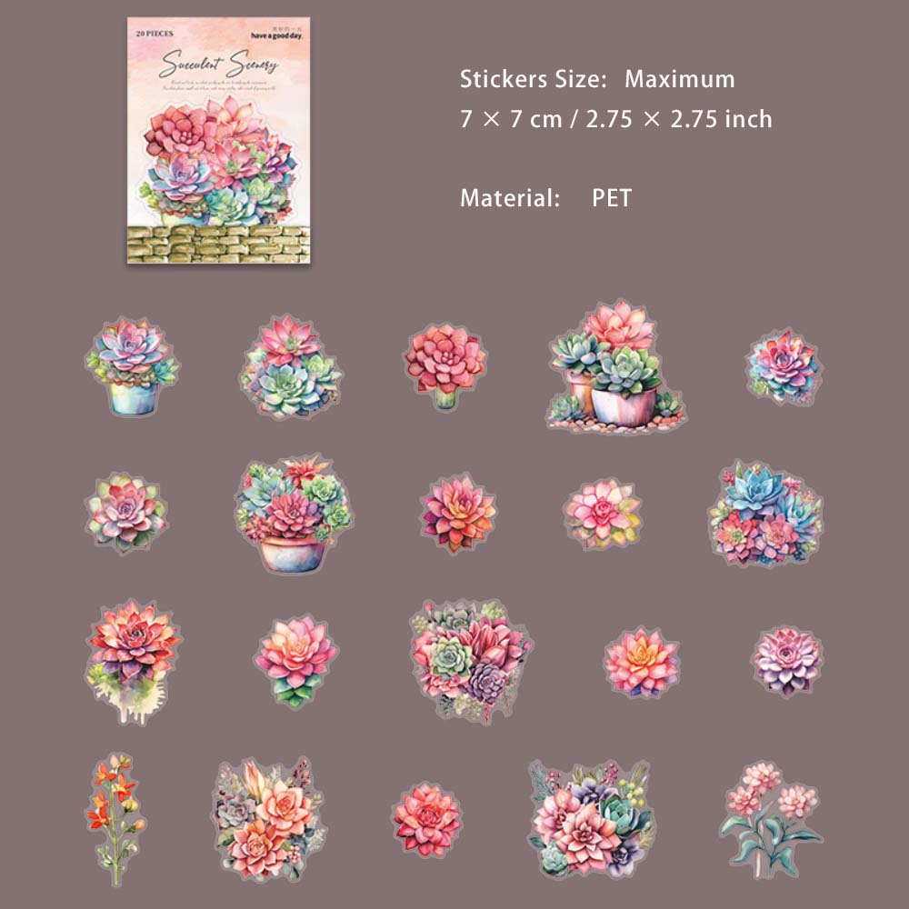 20 Pcs Succulent PET Stickers DRXJ