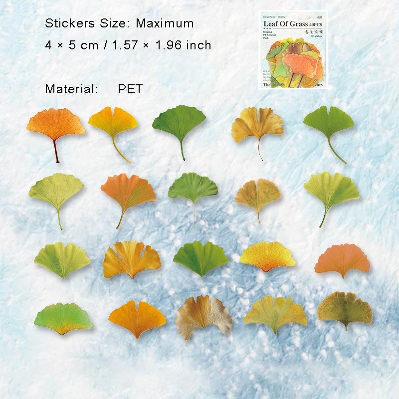 40 Pcs Pressed Leaf Stickers QDZY