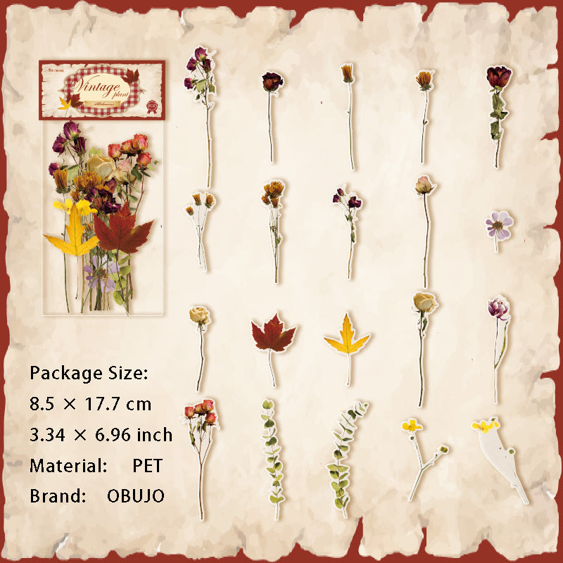 30 Pcs Botanical Plant PET Stickers LWJC