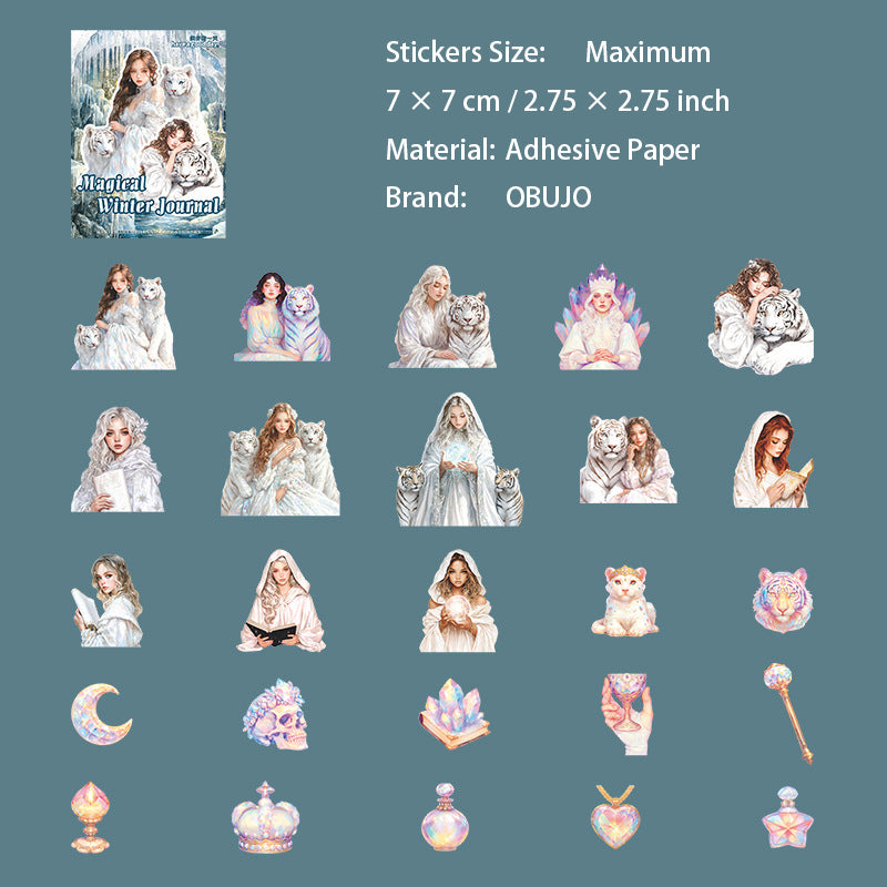 25 Pcs Magic Winter PET Stickers MHDR