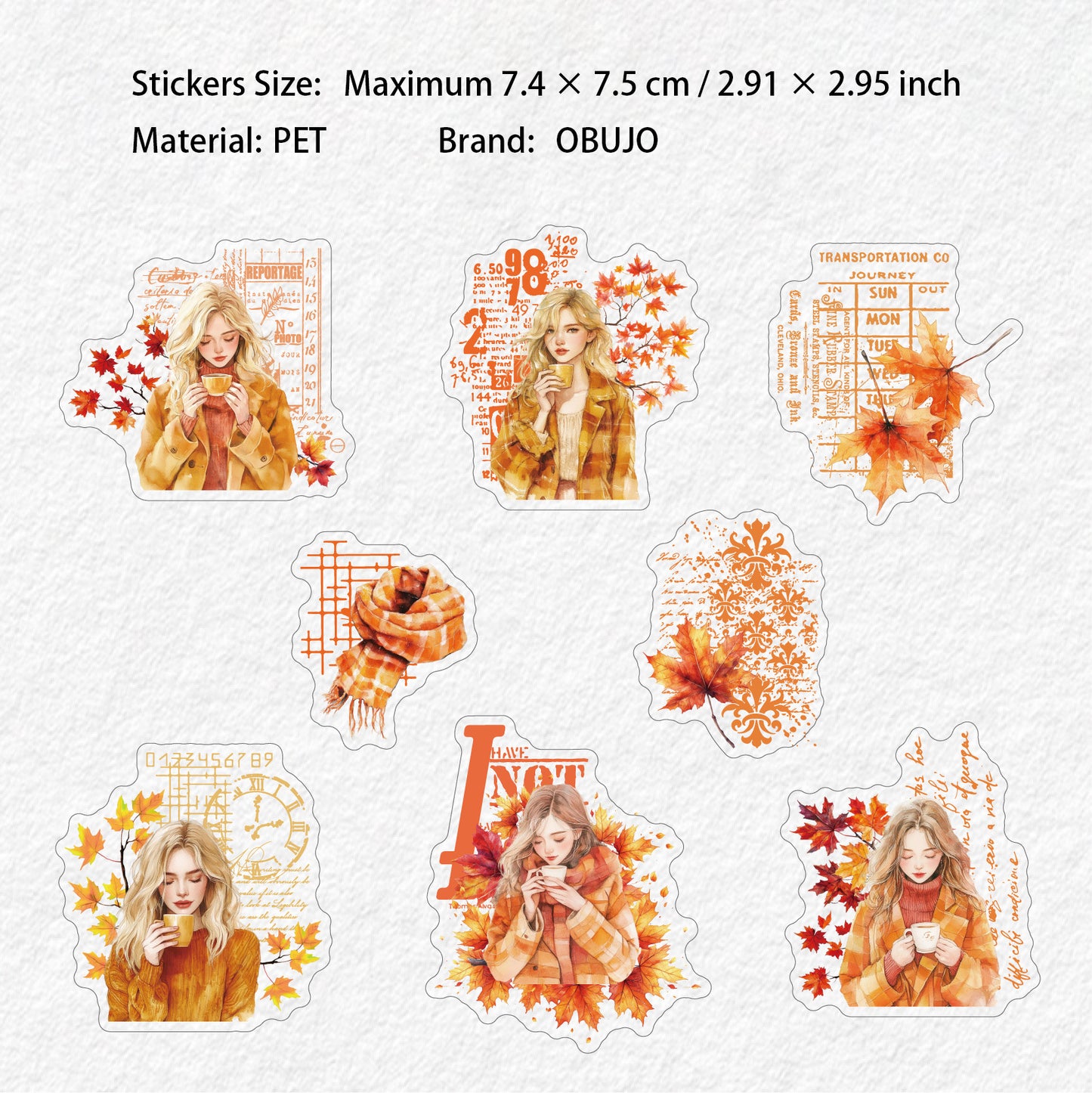 16 Pcs Winter Girl PET Stickers DNXL