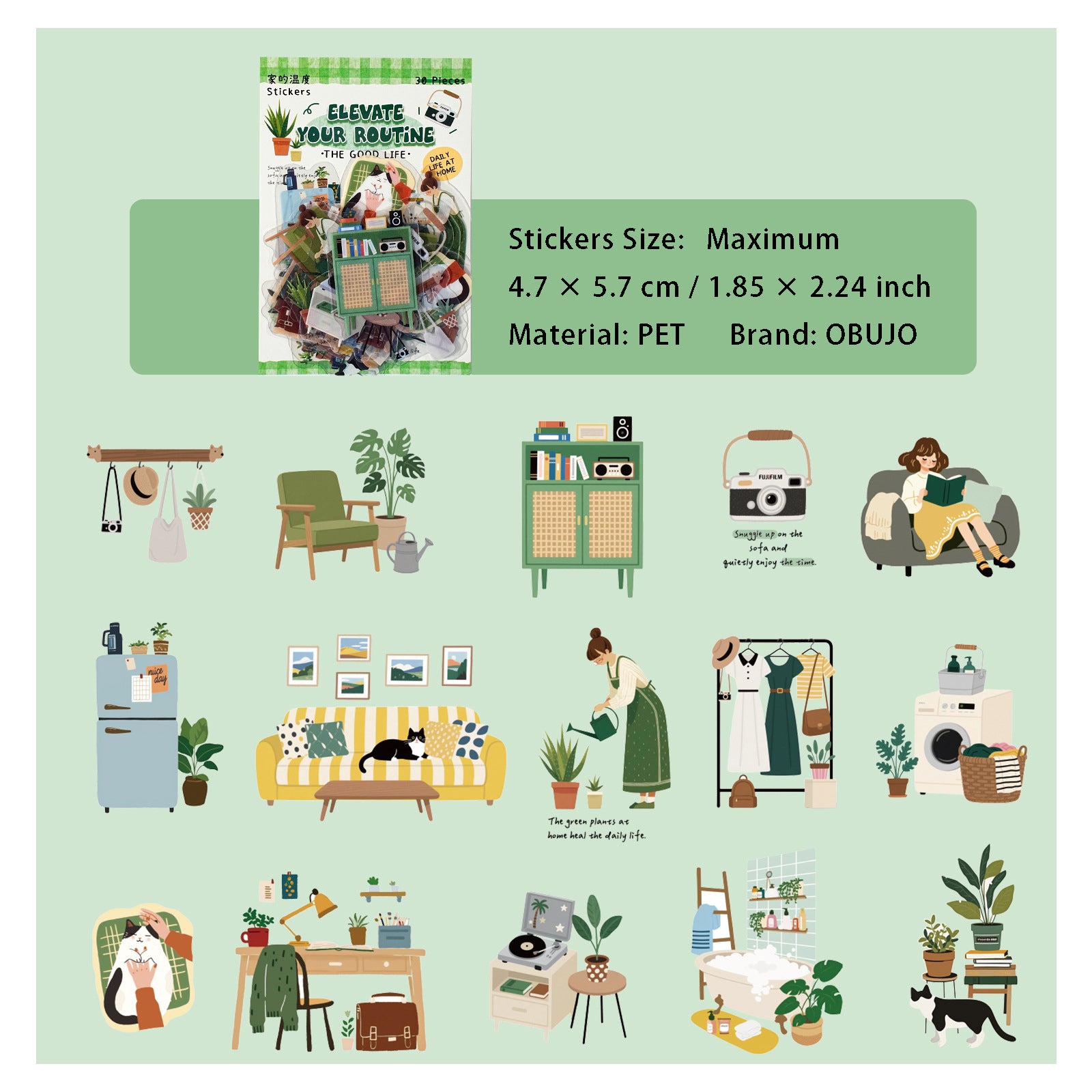 30 Pcs Dialy Life PET Stickers DLRC