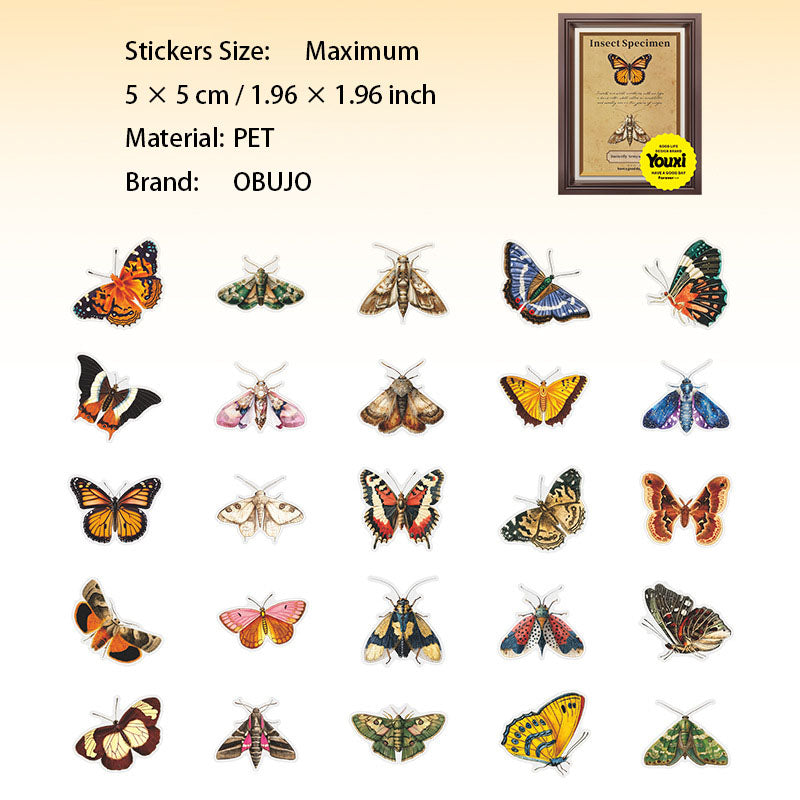 25 Pcs Insect PET Stickers KCBBTJ