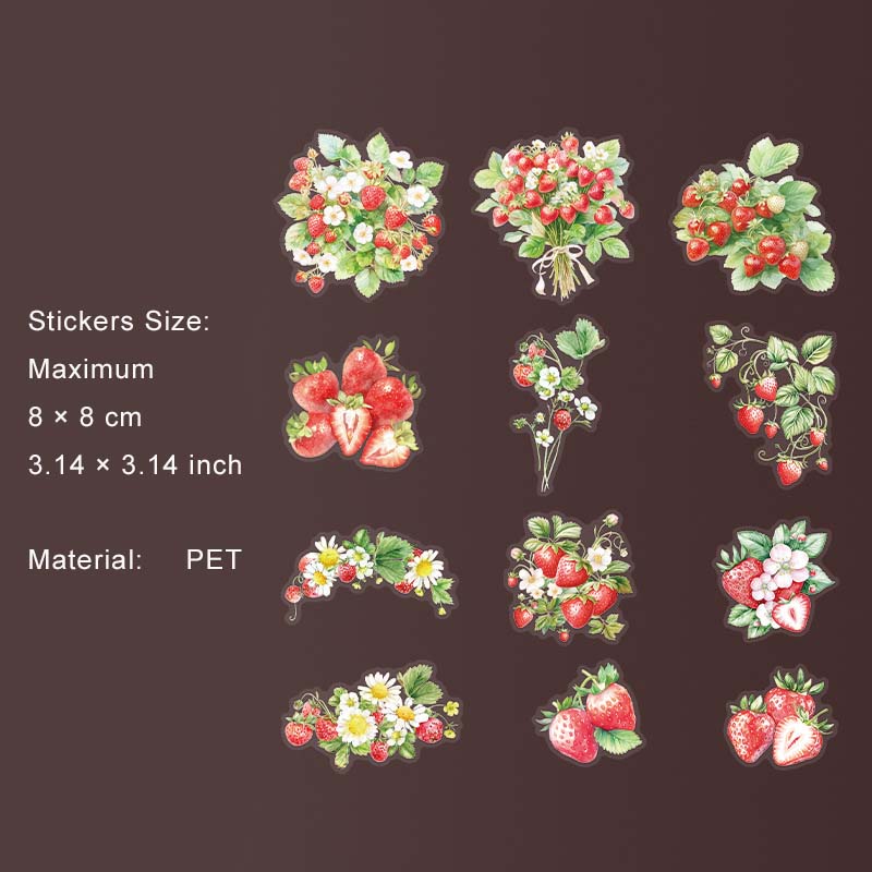 12 Pcs Fruit PET Stickers SGHX