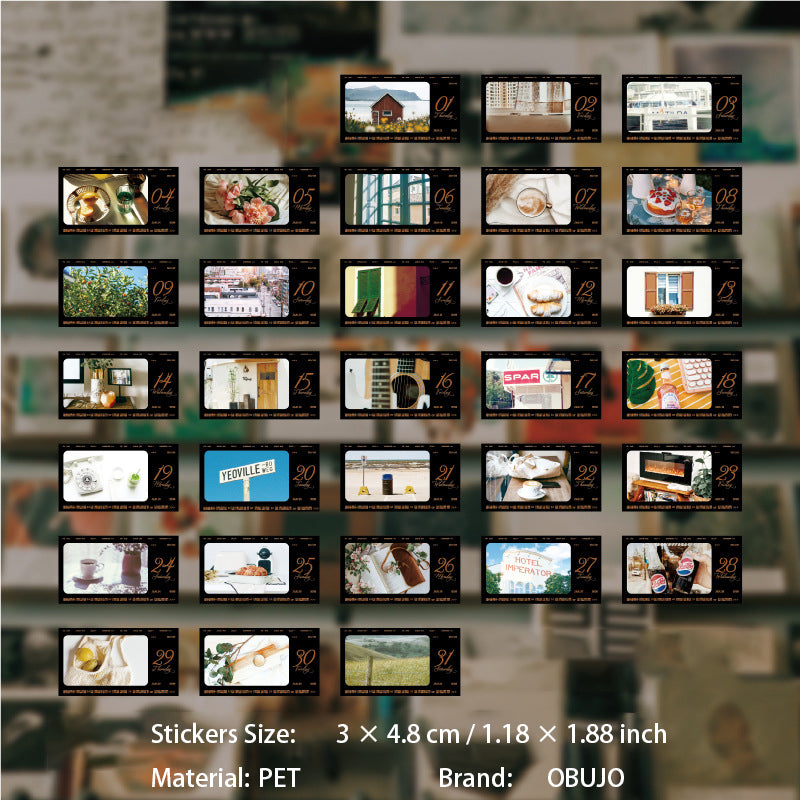 365 Pcs Daily Scenery PET Stickers JTXYT