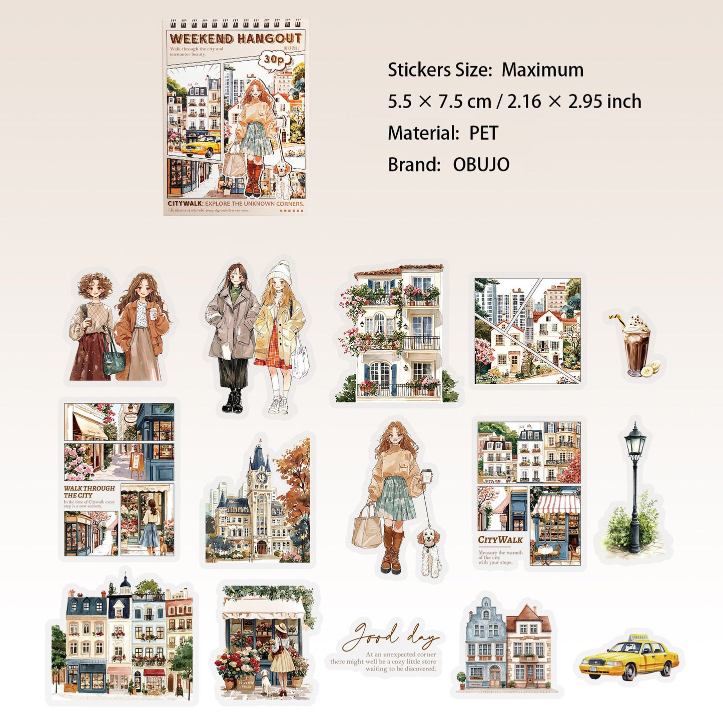 30 Pcs Party Themed PET Stickers XJYX