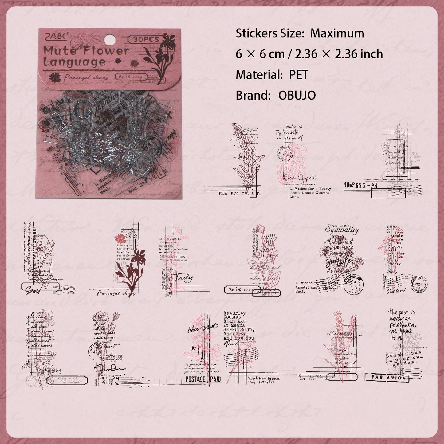 30 Pcs Vintage Collage PET Stickers BYWY