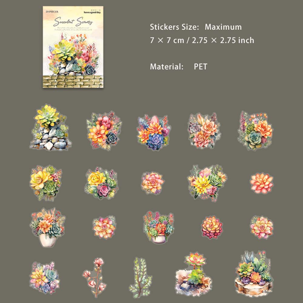 20 Pcs Succulent PET Stickers DRXJ