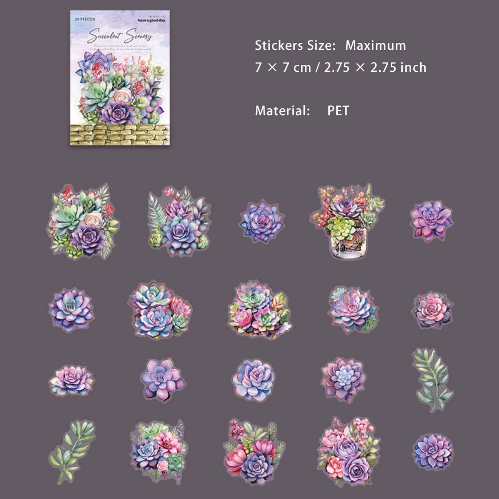 20 Pcs Succulent PET Stickers DRXJ