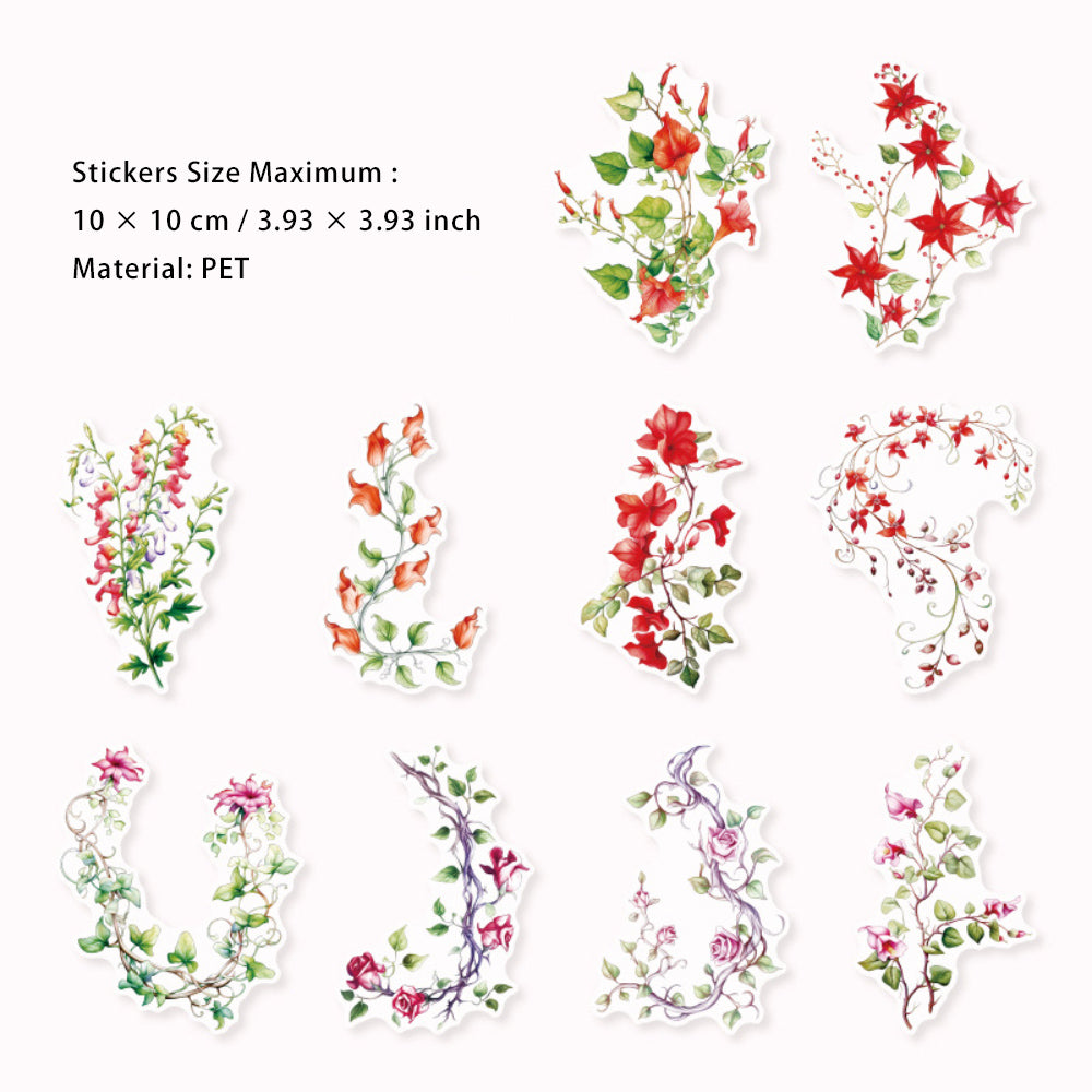 20 Pcs PET Vine Stickers YMSZ