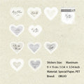 10 Pcs Lace Edged Journal Stickers LSHX