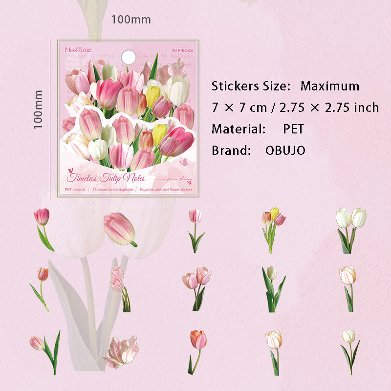 30 Pcs Leaf Flower PET Stickers ZYSJ