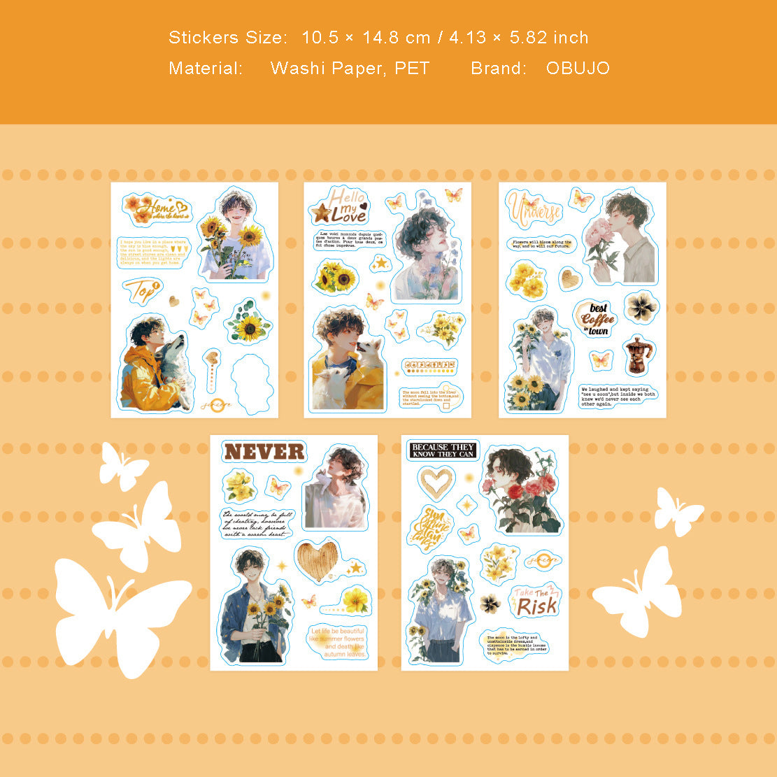 10 Sheets Boy PET Stickers Book MGGB