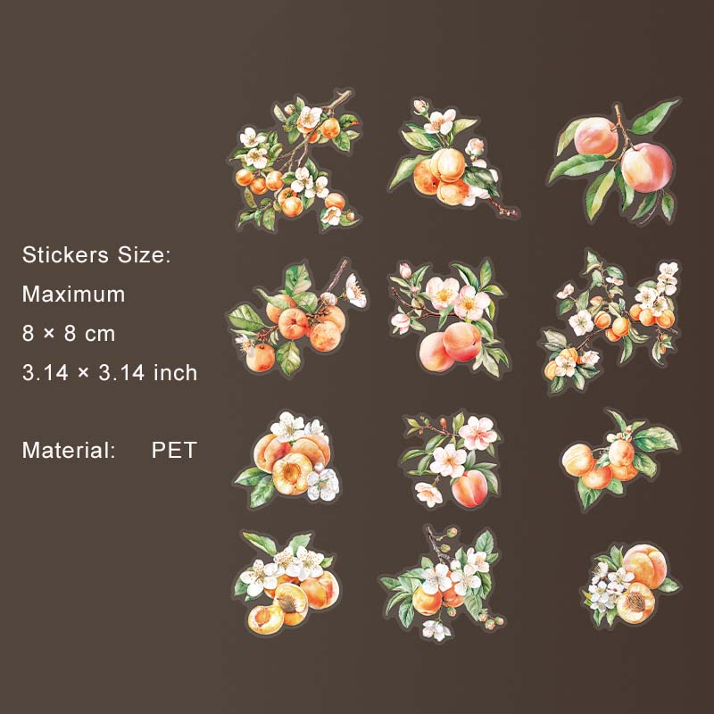 12 Pcs Fruit PET Stickers SGHX