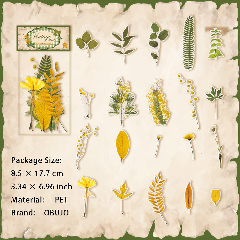 30 Pcs Botanical Plant PET Stickers LWJC