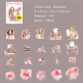 20 Pcs Pari Girl PET Stickers BLSL