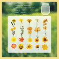 41 Pcs Pressed Flower PET Stickers GHXL