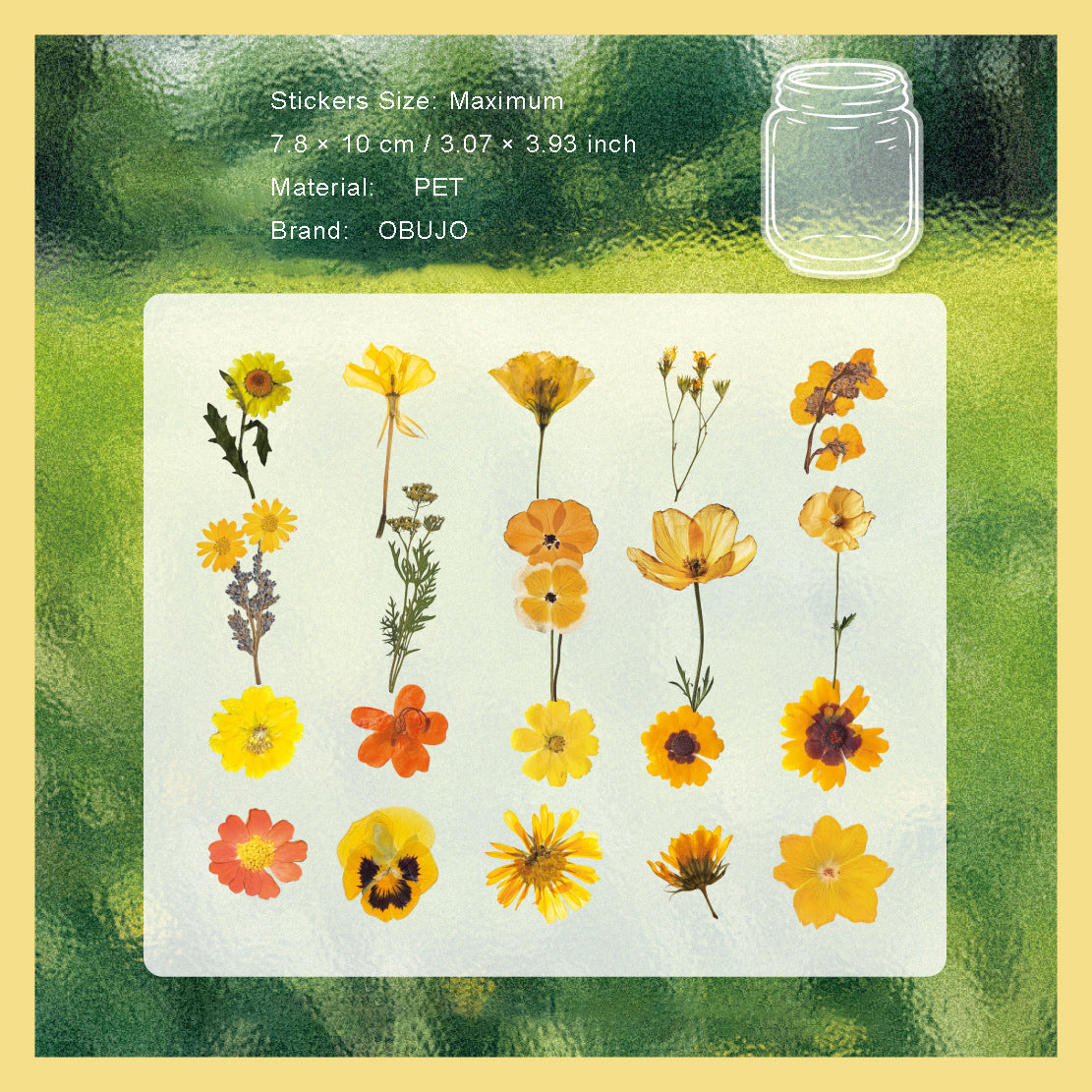 41 Pcs Pressed Flower PET Stickers GHXL
