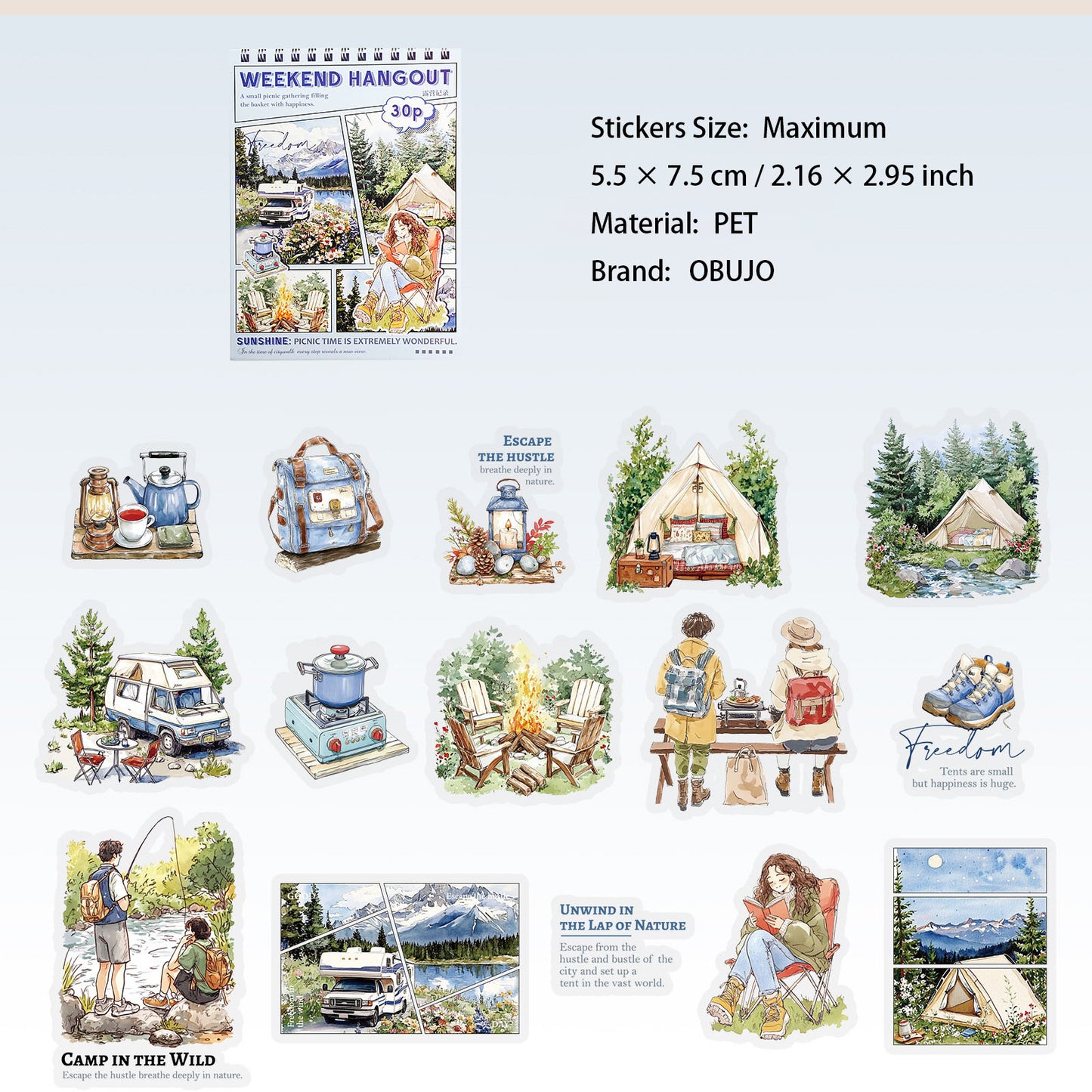 30 Pcs Party Themed PET Stickers XJYX