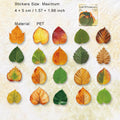 40 Pcs Pressed Leaf Stickers QDZY