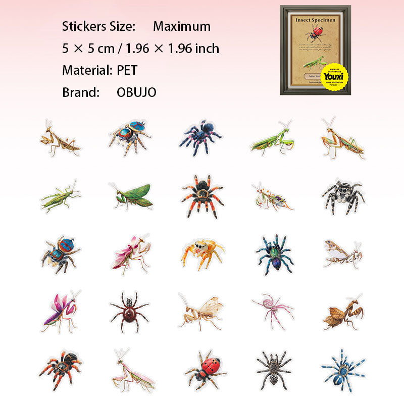 25 Pcs Insect PET Stickers KCBBTJ