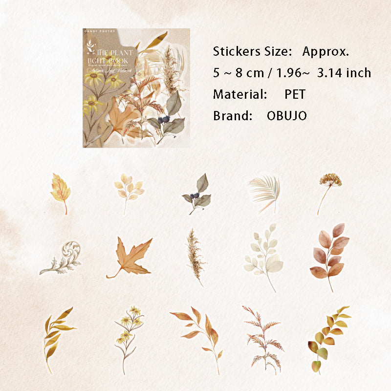30 Pcs Leaf Theme PET Stickers ZWGB