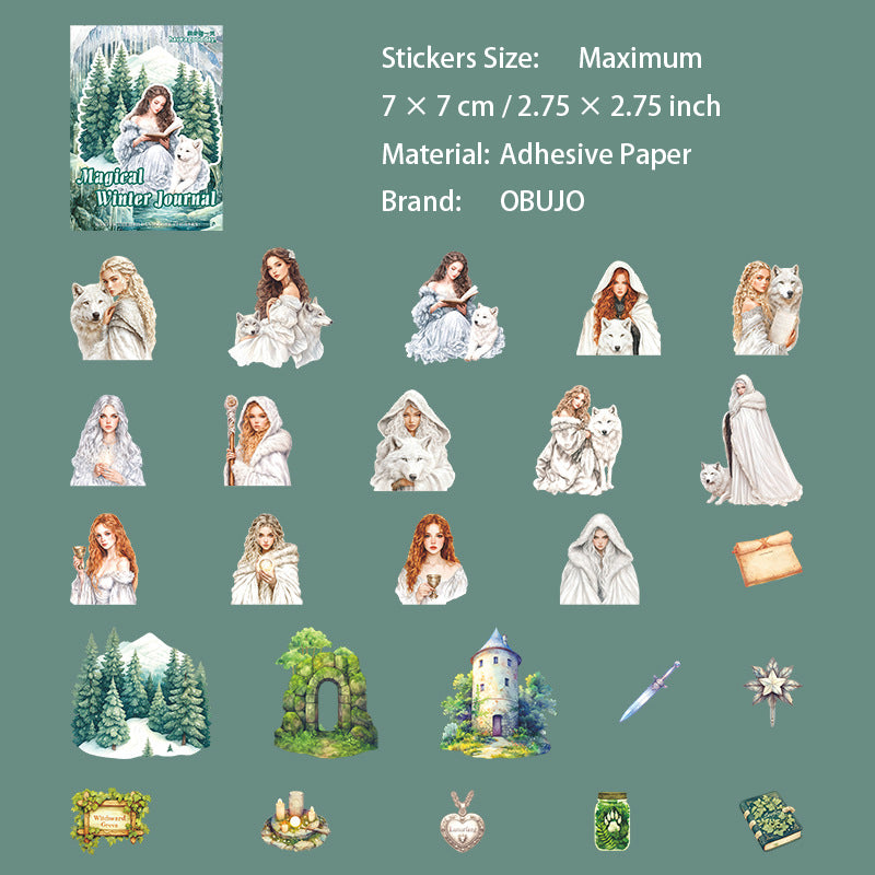 25 Pcs Magic Winter PET Stickers MHDR