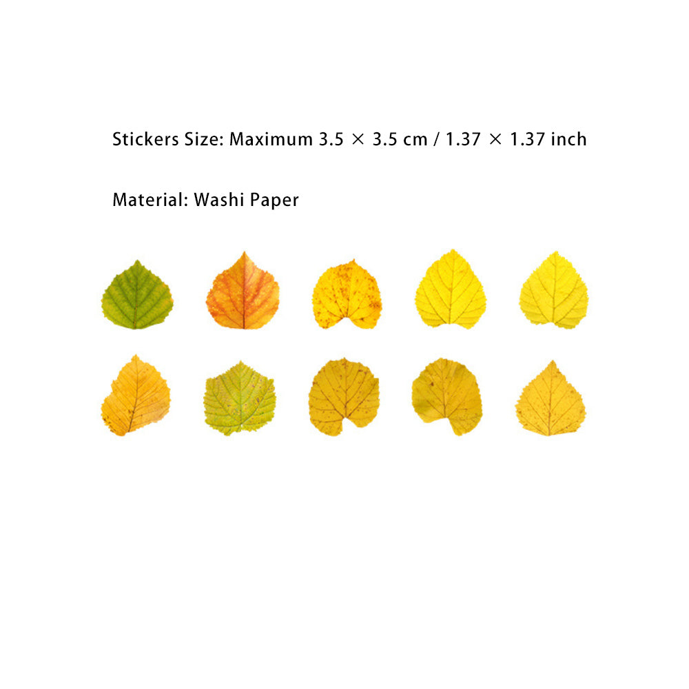 1 Roll Leaf Stickers Tape XXDLY