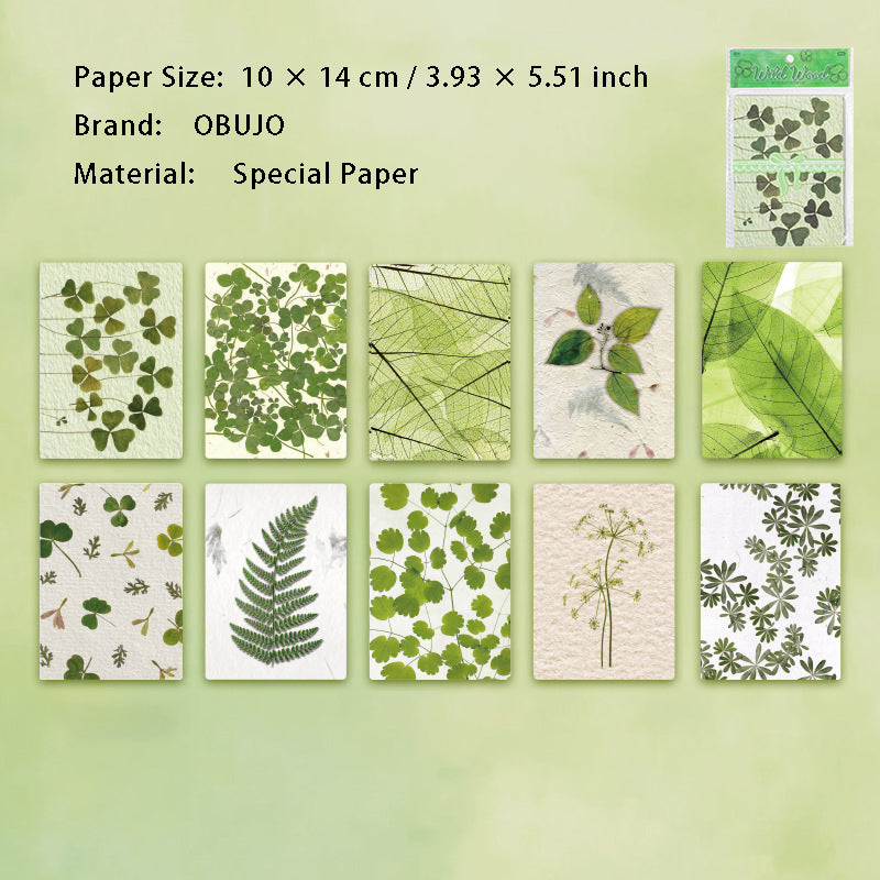 30 Sheets Spring Scrapbook Paper CRWY