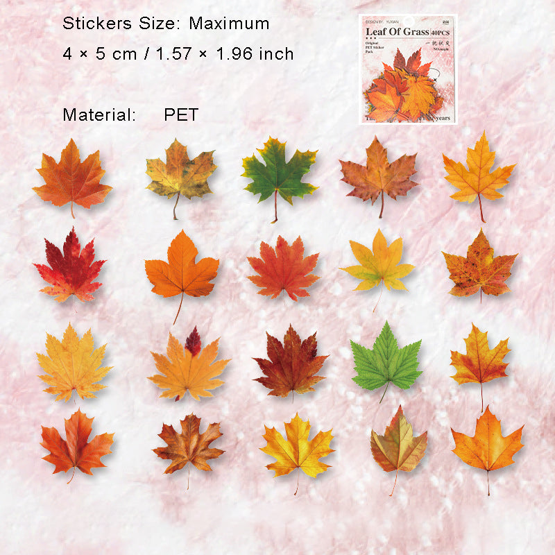 40 Pcs Pressed Leaf Stickers QDZY