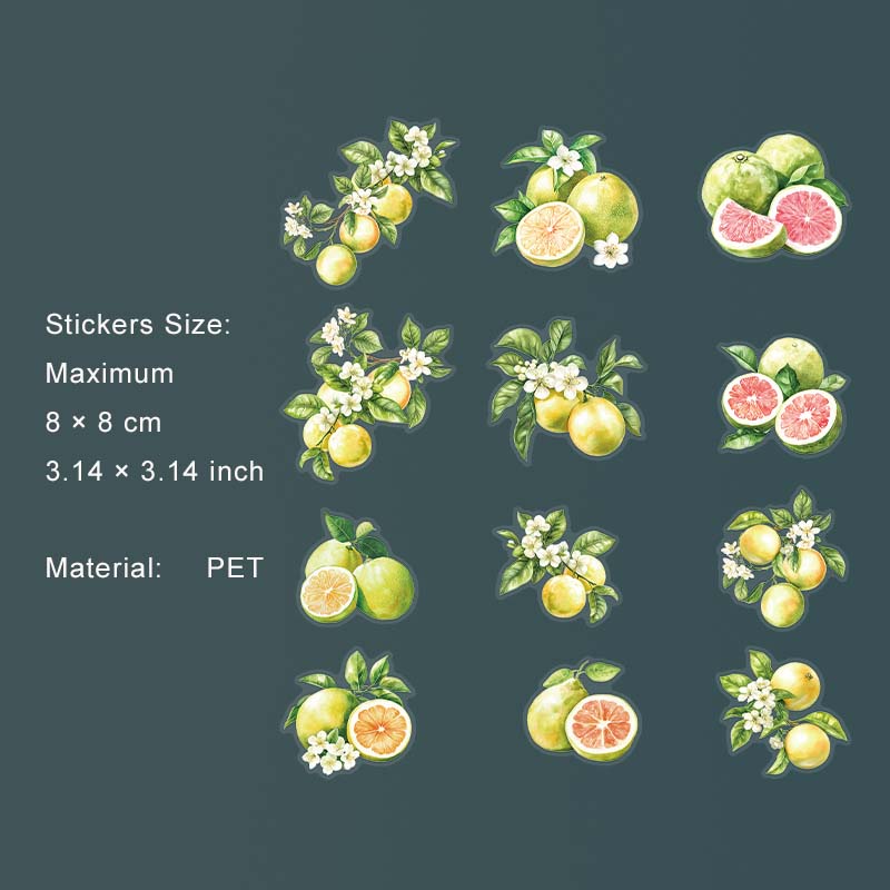 12 Pcs Fruit PET Stickers SGHX