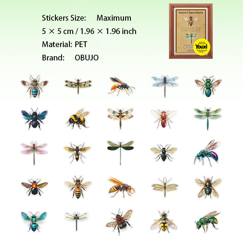 25 Pcs Insect PET Stickers KCBBTJ