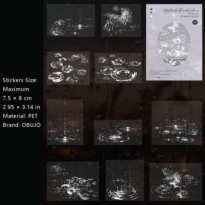 20 Pcs Natural Element PET Stickers ZRJ