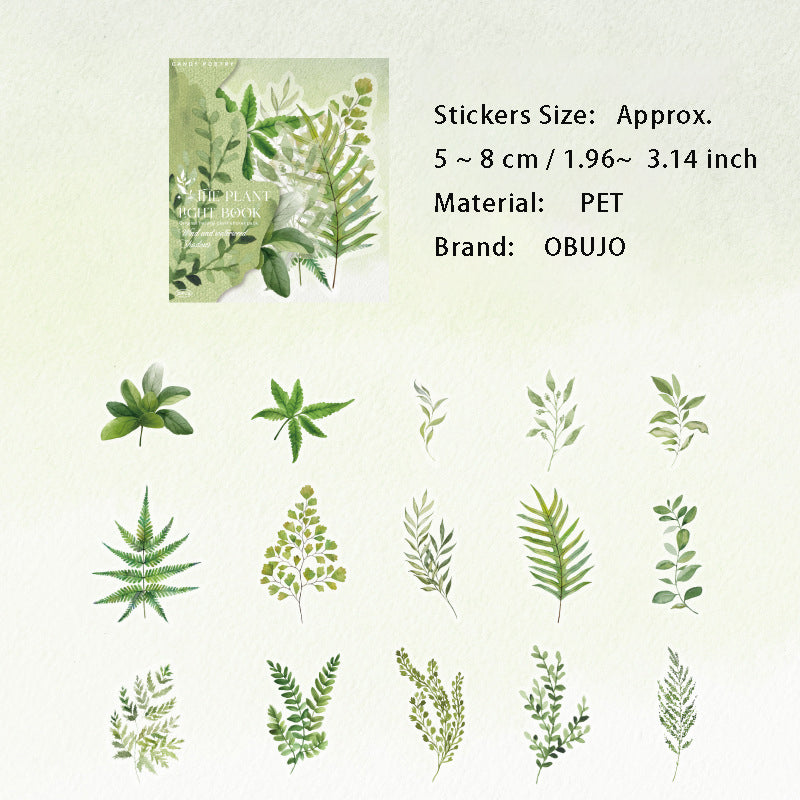 30 Pcs Leaf Theme PET Stickers ZWGB