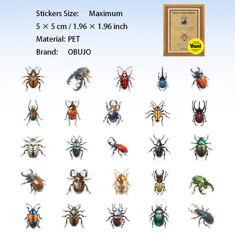 25 Pcs Insect PET Stickers KCBBTJ