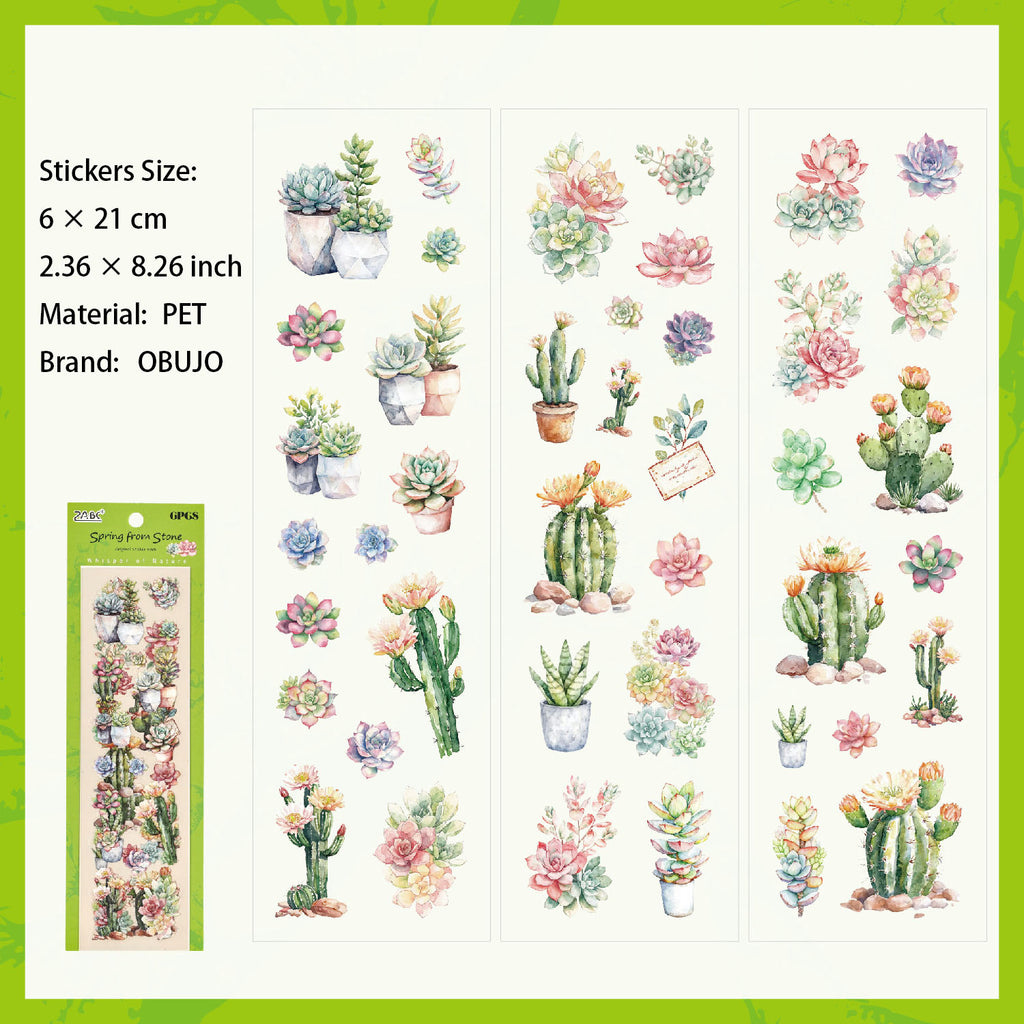 6 Sheets Vegetable Fruit PET Stickers ZRSG