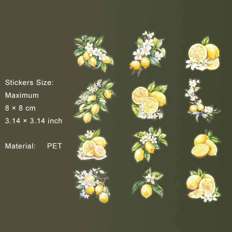 12 Pcs Fruit PET Stickers SGHX