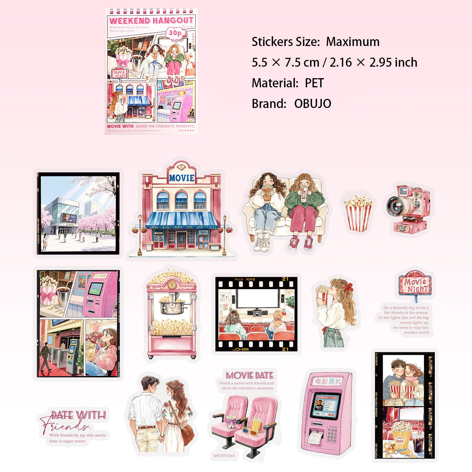 30 Pcs Party Themed PET Stickers XJYX
