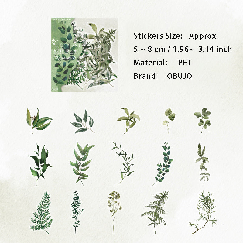 30 Pcs Leaf Theme PET Stickers ZWGB