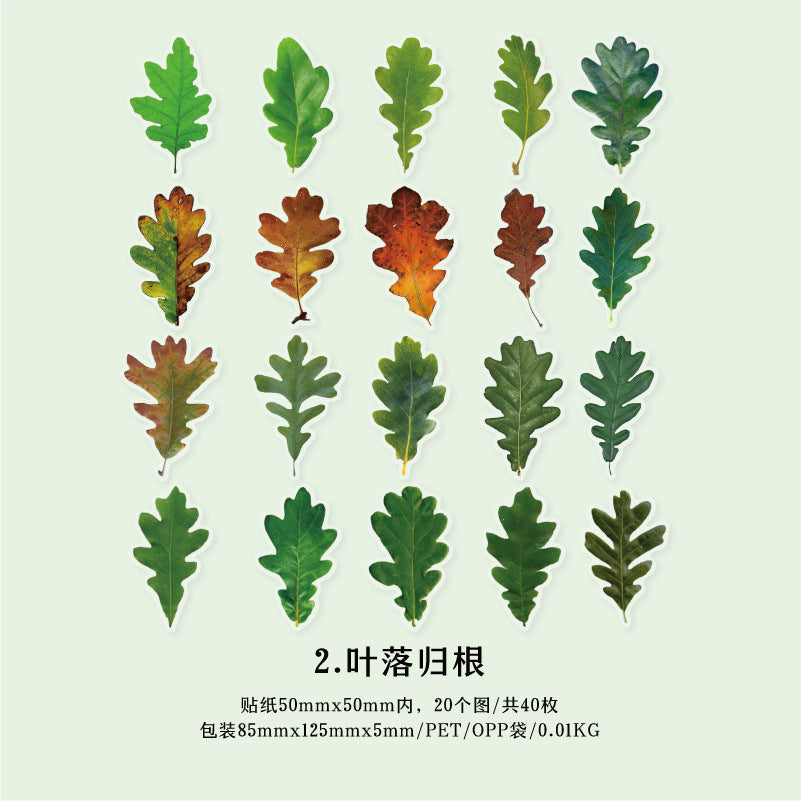 40 Pcs PET Leaf Stickers YZMY