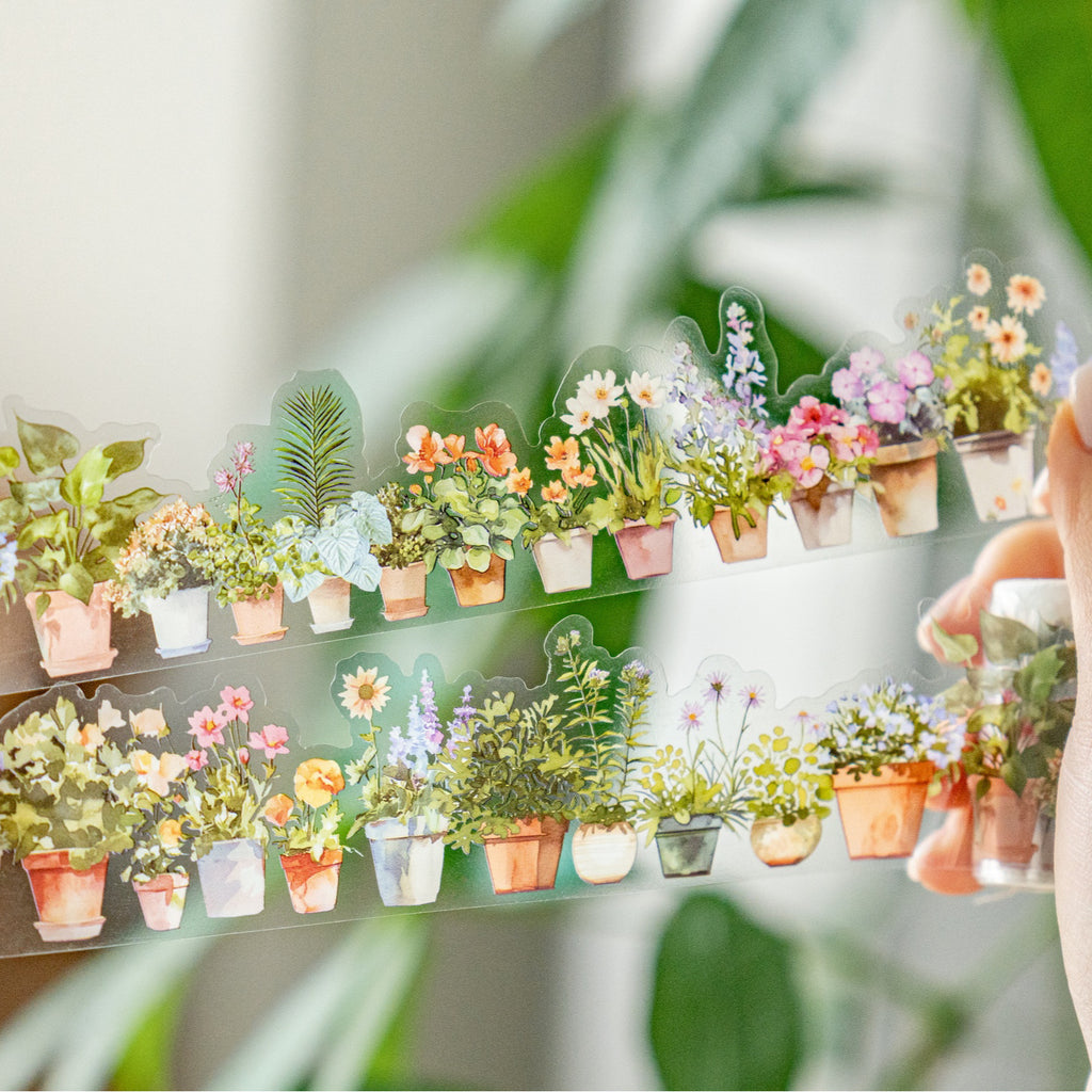 1 Roll Lifestyle PET Tape YCSH