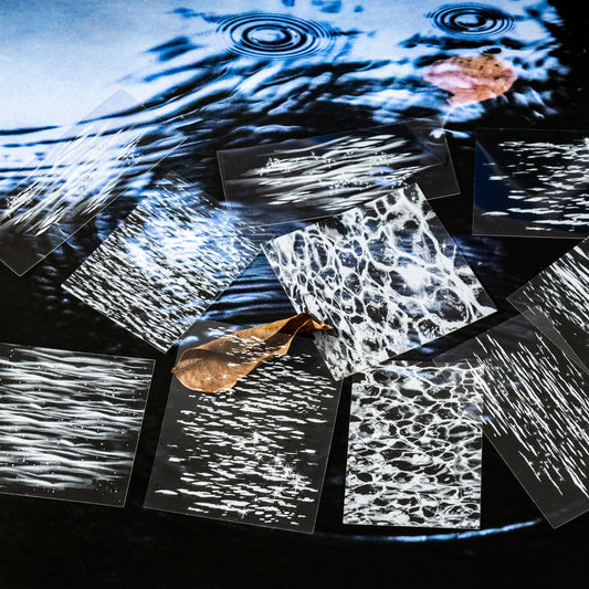 20 Pcs Natural Element PET Stickers ZRJ