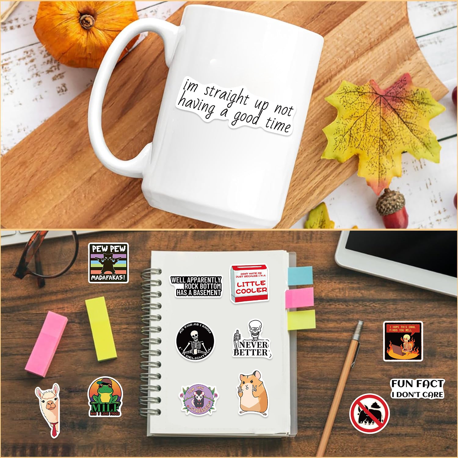 50PCS Funny Sarcastic Meme Vinyl Stickers FUN13
