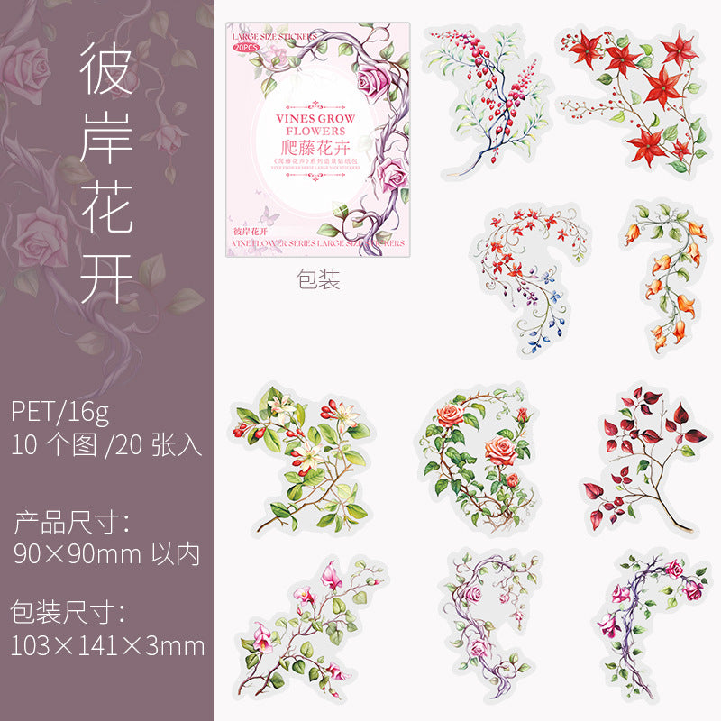 20 Pcs Botanical Vine PET Stickers PTHH