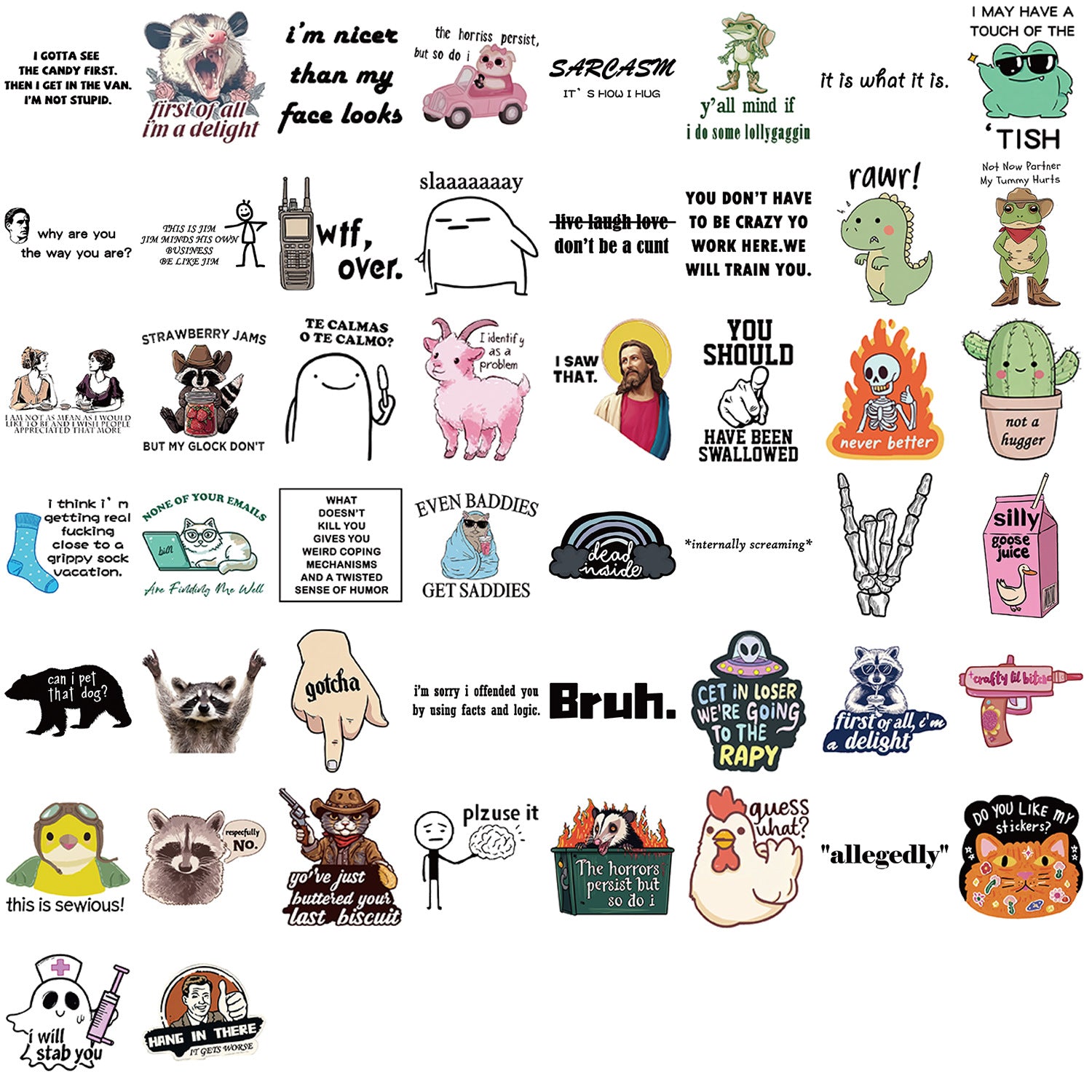 50PCS Funny Sarcastic Meme Vinyl Stickers FUN11
