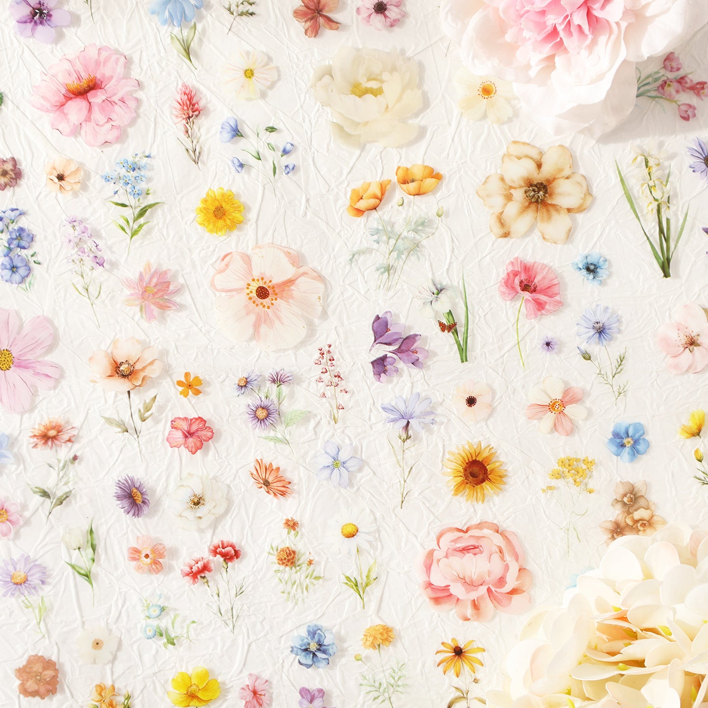 6 Rolls Wildflower PET Stickers Tapes Set FFXS