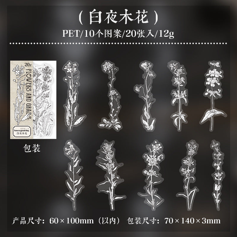 20 Pcs Plant PET Stickers HJCT