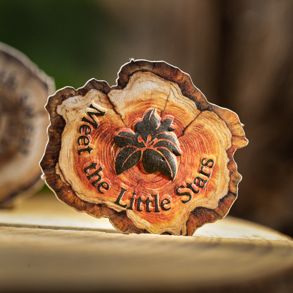 25 Pcs Woolen Words Embossed Stickers MWSY